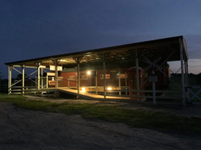 Platform One, Metung